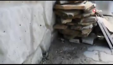 Bursa'da sitenin bahçesine giren yılanı eliyle yakaladı