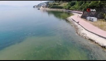 Salya akınıyla ilgili Bursa'dan ilginç iddia: Adalar Bölgesi'ndeki fay hatları araştırılsın