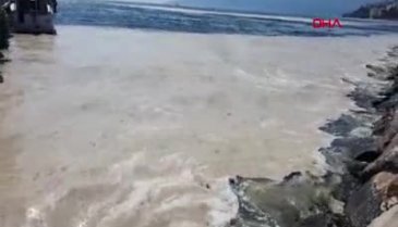 Müsilaj yeniden Bursa Gemlik Körfezi'nde