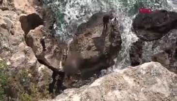 Antalya'da ceset görme yarışı!