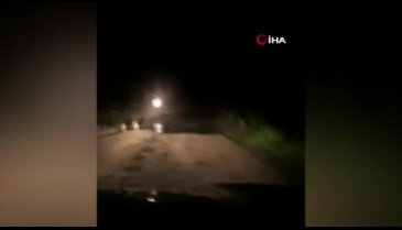 Bursa'da domuzlar şehre indi!