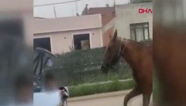 Bursa'da otomobilin bagajındaki kişi, ipe bağlı atı koşturdu