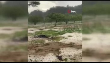 Bursa'da dolu mahsulleri vurdu