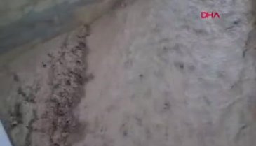 Etkili sağanak, Lise Deresi'ni taşırdı