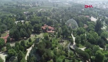 Bursa Hayvanat Bahçesi'nin yeni yavruları alpakalar