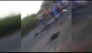 Bursa'da 3 kişinin öldüğü kazadaki sürücü: "Virajda araç kontrolden çıktı, sabah işe gidiyorduk''