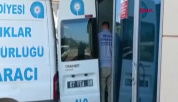 Üzerine tente devrilen doktor hayatını kaybetti