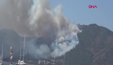 Marmaris'te orman yangını