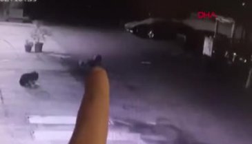 Vahşet: Zehir sürülmüş mermi ile öldürdü