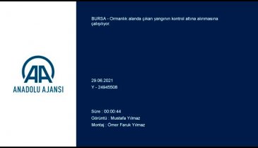 Bursa'da ormanlık alanda yangın!