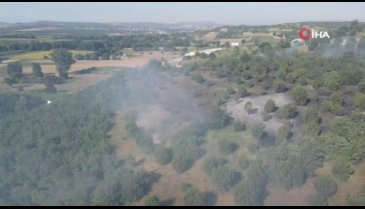 Bursa'da ormanlık alanda yangın! - 2