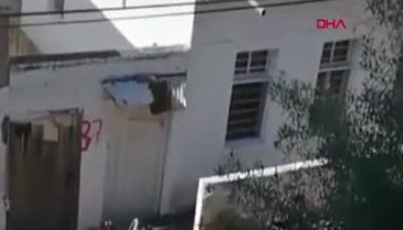 Pitbullun, atı ısırdığı anlar kamerada