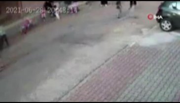 Küçük çocuğa saldıran pitbullun sahipleri adli kontrol şartıyla serbest