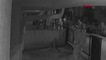 Tüfekle ağır yaraladığı eski eşini, kapısında beklemiş