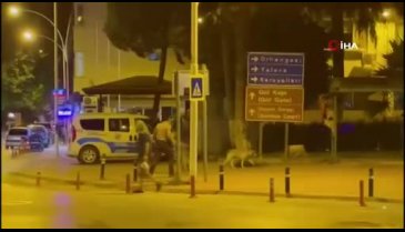 Bursa'da sokak köpeği, 8 yaşındaki Mehmet'in yanağını koparıyordu