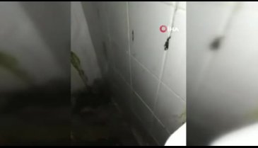Bursa'da yaralı şahinleri iyileştirip özgür bıraktı
