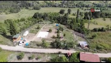 Bursa'da zehirli mamayı yiyen köpeklerden ikisi öldü, 9'u ölümle pençeleşiyor