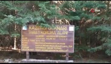 Bursa'da bu köye gelen kaçıyor
