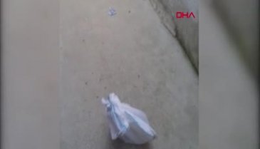 Hayvan düşmanı, kediyi çuvala koyup evin bahçesine attı!