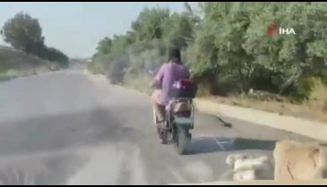 Köpeği bisiklete bağlayıp sürükleyen vicdansıza para cezası!