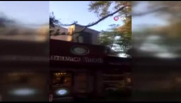 Bursa'da asırlık çınarın dalı böyle devrildi, faciadan dönüldü