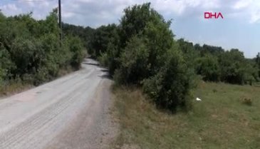 Kocaeli'de genç kıza cinsel istismara kalkışıp, başına taşla vurdu!