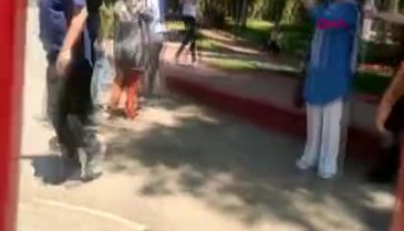 Gaziantep'te aslan kafesini parçalayıp kaçtı, 3 kişiyi yaraladı