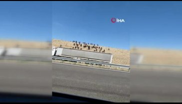 Niğde Valiliği'nden düzensiz göçmen açıklaması: Soruşturma başlatıldı