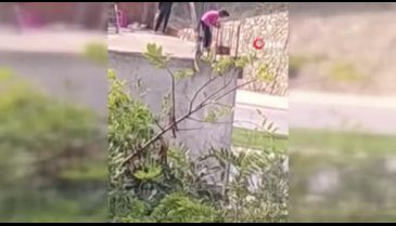 2 çocuk kediye feci şekilde işkence yaptı!