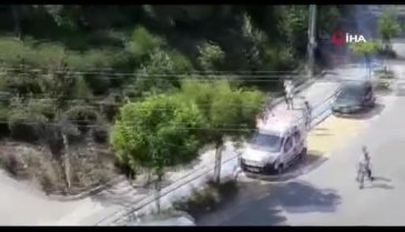Bursa'da kaçan kurbanlık danayı mahalleli kovaladı