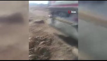 Mide bulandıran görüntü: Kurban atıklarını suya attı
