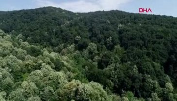 Bursa'da herkesi mutlu edecek proje