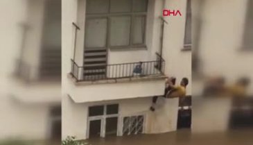 Bu görüntü ilk kez ortaya çıktı! Hayata böyle tutundular
