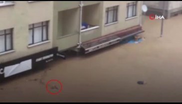 Artvin'de "Boğuluyorum" feryadına sel sularında dolaşan bir genç yetişti