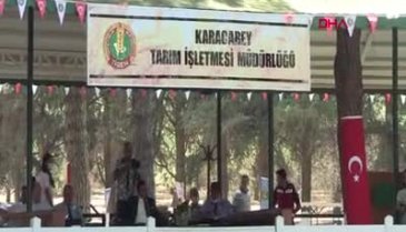 Bursa'da 'Kuzgun Efe' açık artırmada 315 bin liraya satıldı