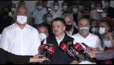 Manavgat'ta orman yangını - 2