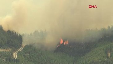 Manavgat'tan alevler yükseliyor! Bir noktada daha yangın çıktı