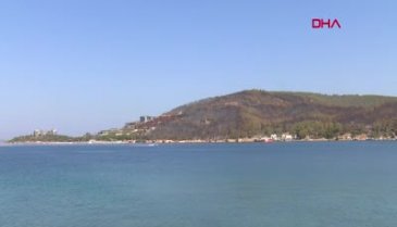 İşte Bodrum'daki yangının acı bilançosu