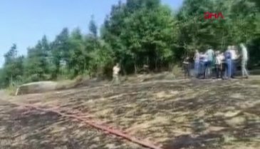 Bursa'da anız yakan çiftçiye dönüm başına ceza!
