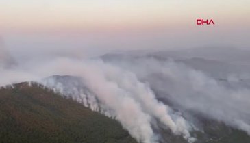 Rüzgarla yön değiştiren alevler Bodrum'un Mazı Mahallesini yaktı