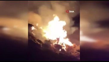 Bursa İznik'te korkutan çalılık yangını