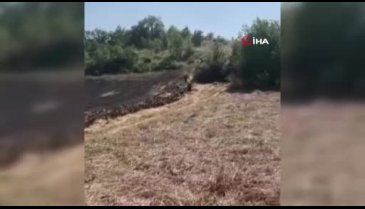 Bursa Yenişehir'de anız yakan bir çiftçiye ceza kesildi