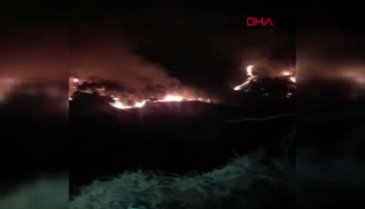 Milas'taki yangında 3'üncü gün! Havadan müdahale yeniden başladı