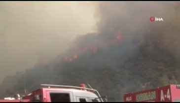 Yangının büyümesi kül yağmuruna sebep oldu