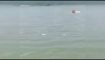 Hindistan'da askeri helikopter düştü