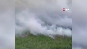 Rusya'da orman yangını yerleşim yerine sıçradı