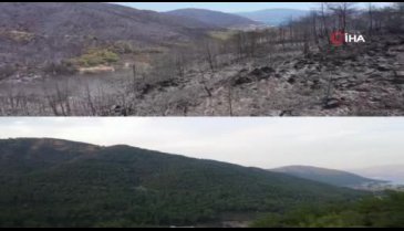 Marmaris İçmeler'in son hali yürek burktu