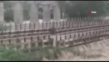 Hindistanı sağanak yağmur vurdu: Sel sonucu en az 15 ölü!