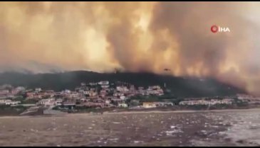 Dünya alevlere teslim oldu! Dört bir yanda orman yangını var