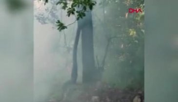 Bursa'da orman yangını büyümeden söndürüldü!